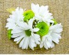 Corsage - Daisy and Button Wrist